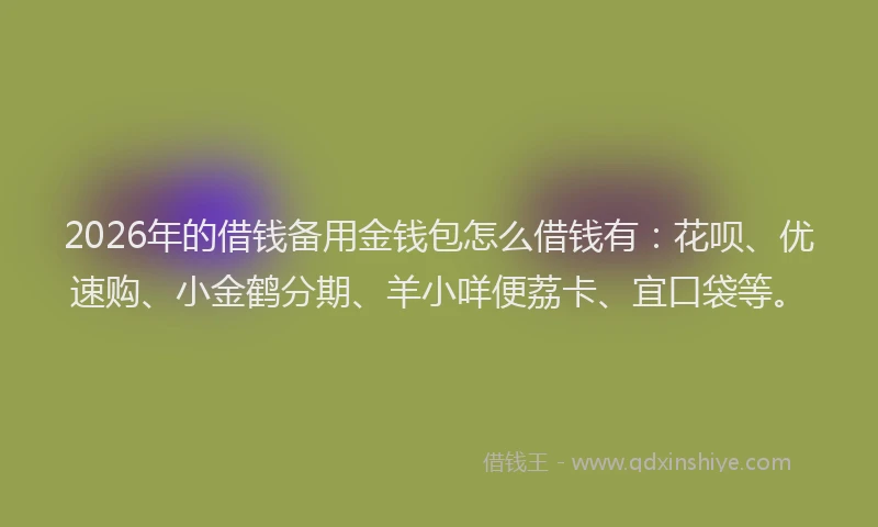 2026年的借钱备用金钱包怎么借钱有：花呗、优速购、小金鹤分期、羊小咩便荔卡、宜口袋等。