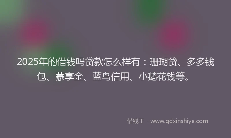 2025年的借钱吗贷款怎么样有:珊瑚贷、多多钱包、蒙享金、蓝鸟信用、小鹅花钱等。