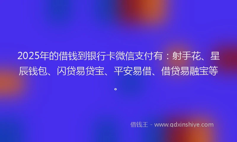 2025年的借钱到银行卡微信支付有：射手花、星辰钱包、闪贷易贷宝、平安易借、借贷易融宝等。