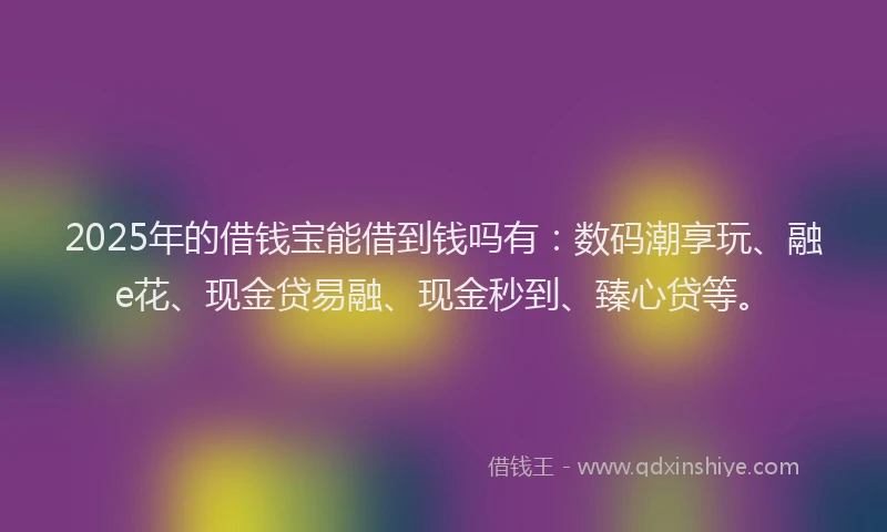 2025年的借钱宝能借到钱吗有：数码潮享玩、融e花、现金贷易融、现金秒到、臻心贷等。