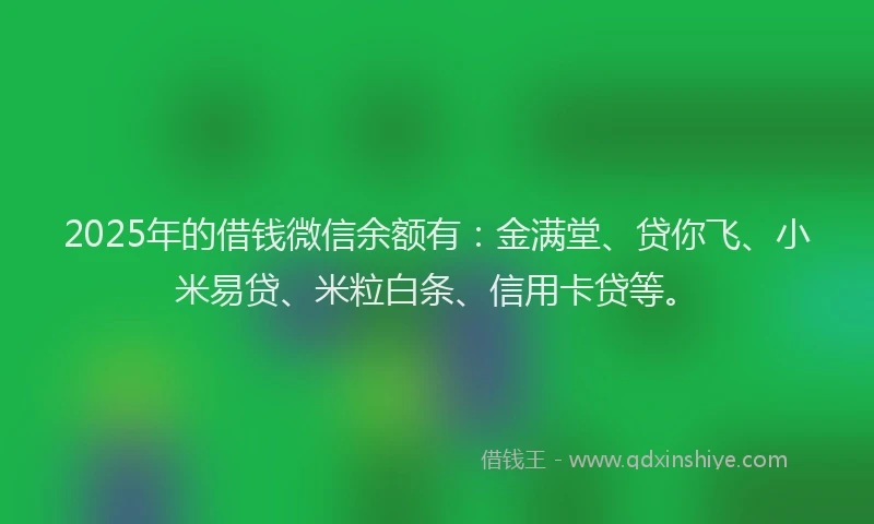2025年的借钱微信余额有:金满堂、贷你飞、小米易贷、米粒白条、信用卡贷等。