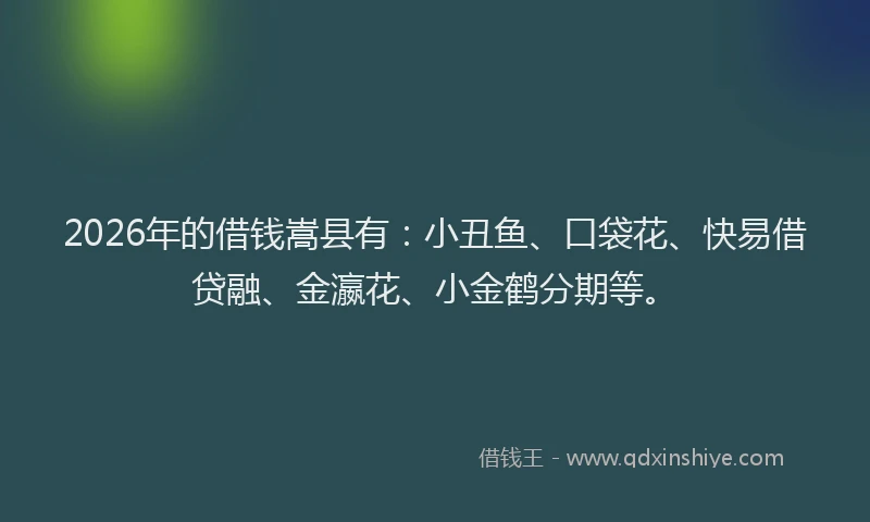 2026年的借钱嵩县有：小丑鱼、口袋花、快易借贷融、金瀛花、小金鹤分期等。