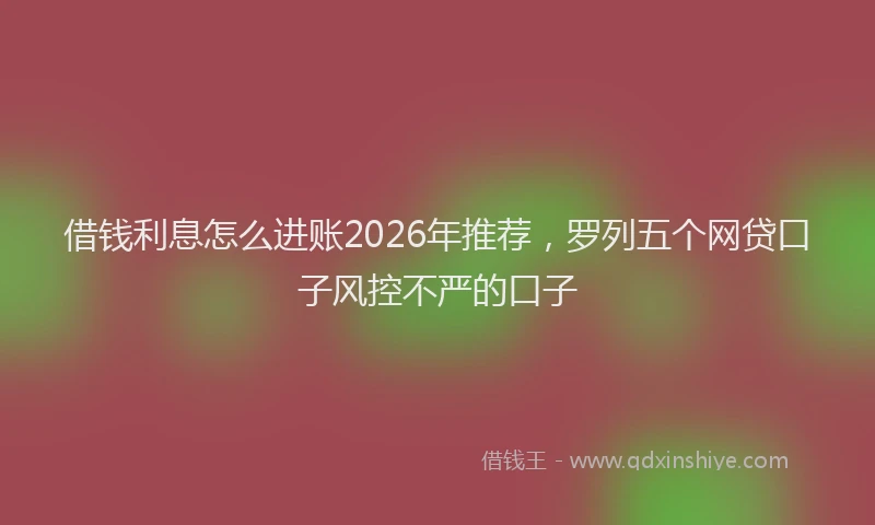 借钱利息怎么进账2026年推荐,罗列五个网贷口子风控不严的口子