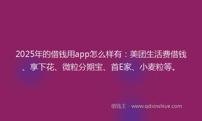 2025年的借钱用app怎么样有：美团生活费借钱、享下花、微粒分期宝、首E家、小麦粒等。