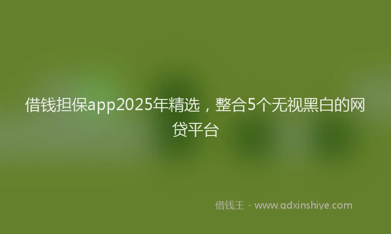 借钱担保app2025年精选，整合5个无视黑白的网贷平台