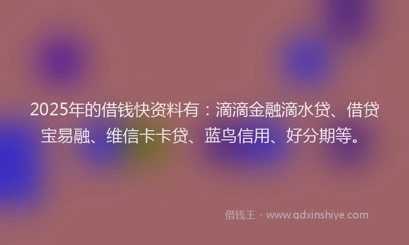 2025年的借钱快资料有：滴滴金融滴水贷、借贷宝易融、维信卡卡贷、蓝鸟信用、好分期等。