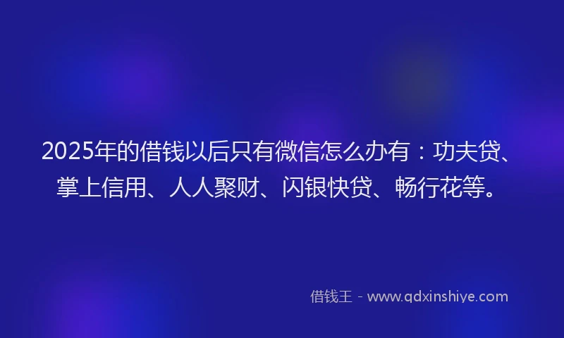 2025年的借钱以后只有微信怎么办有：功夫贷、掌上信用、人人聚财、闪银快贷、畅行花等。
