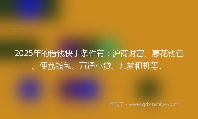 2025年的借钱快手条件有：沪商财富、惠花钱包、便荔钱包、万通小贷、九梦租机等。