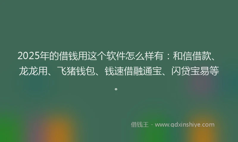 2025年的借钱用这个软件怎么样有：和信借款、龙龙用、飞猪钱包、钱速借融通宝、闪贷宝易等。