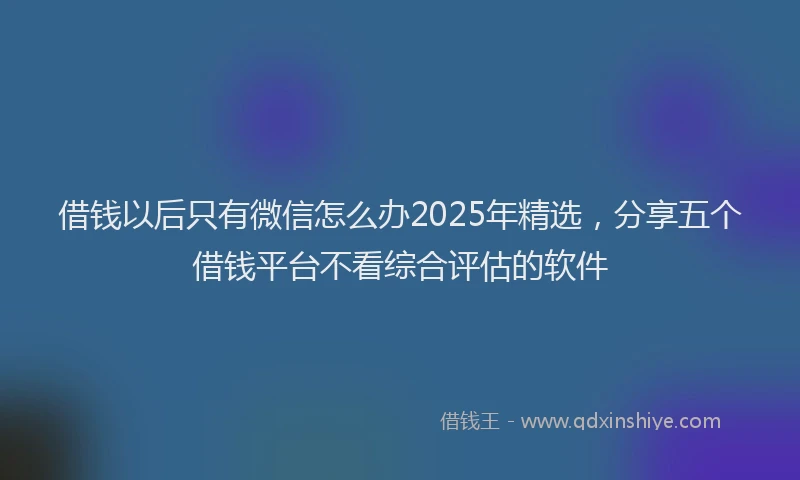 借钱以后只有微信怎么办2025年精选，分享五个借钱平台不看综合评估的软件