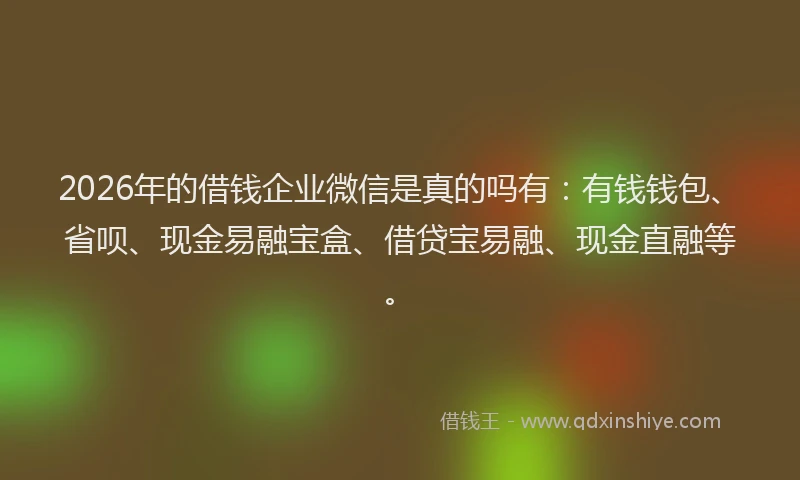 2026年的借钱企业微信是真的吗有：有钱钱包、省呗、现金易融宝盒、借贷宝易融、现金直融等。