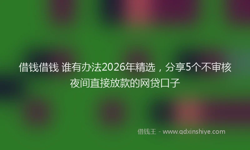 借钱借钱 谁有办法2026年精选，分享5个不审核夜间直接放款的网贷口子