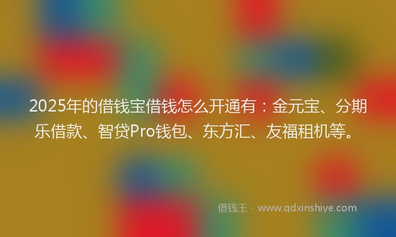 2025年的借钱宝借钱怎么开通有：金元宝、分期乐借款、智贷Pro钱包、东方汇、友福租机等。