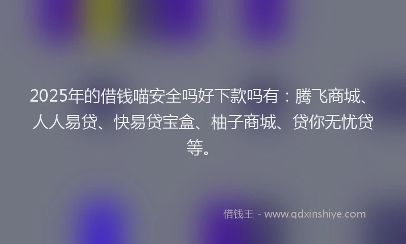2025年的借钱喵安全吗好下款吗有：腾飞商城、人人易贷、快易贷宝盒、柚子商城、贷你无忧贷等。