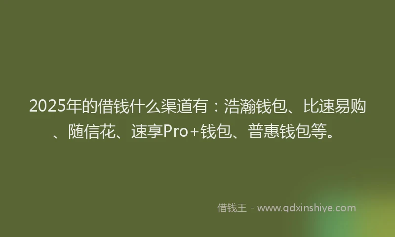 2025年的借钱什么渠道有:浩瀚钱包、比速易购、随信花、速享Pro+钱包、普惠钱包等。