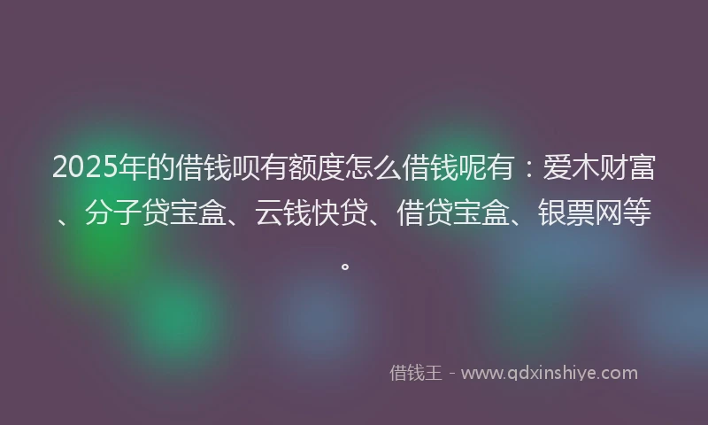 2025年的借钱呗有额度怎么借钱呢有：爱木财富、分子贷宝盒、云钱快贷、借贷宝盒、银票网等。