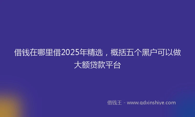 借钱在哪里借2025年精选，概括五个黑户可以做大额贷款平台