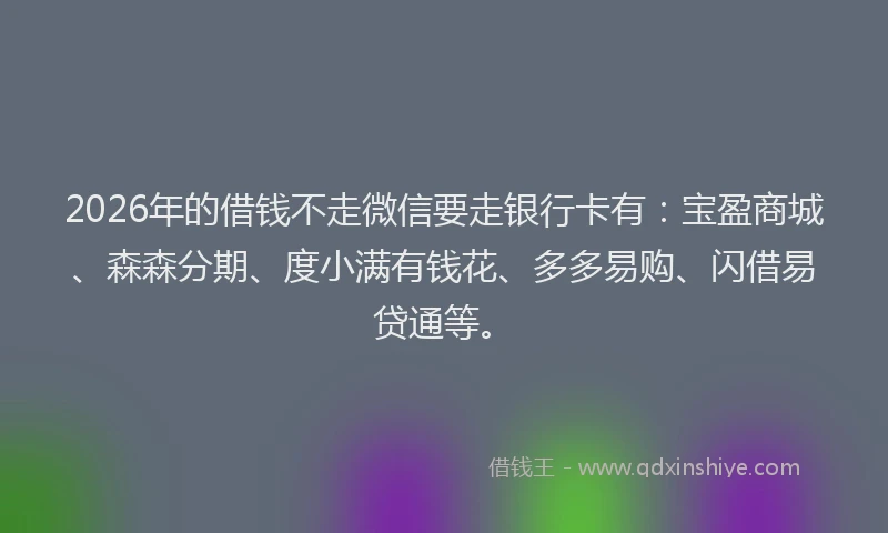 2026年的借钱不走微信要走银行卡有:宝盈商城、森森分期、度小满有钱花、多多易购、闪借易贷通等。