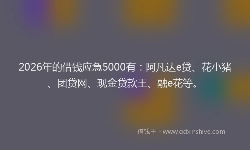 2026年的借钱应急5000有：阿凡达e贷、花小猪、团贷网、现金贷款王、融e花等。