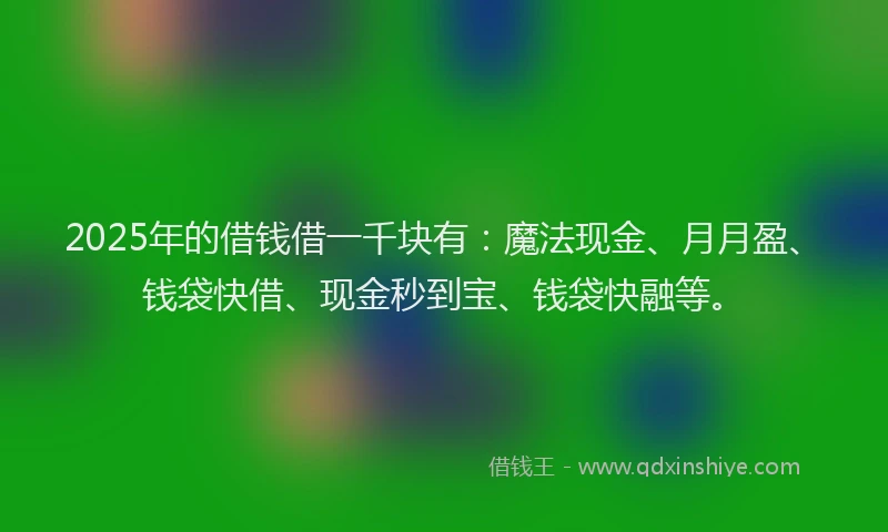 2025年的借钱借一千块有：魔法现金、月月盈、钱袋快借、现金秒到宝、钱袋快融等。
