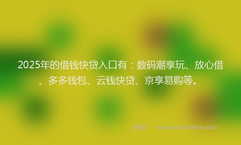 2025年的借钱快贷入口有：数码潮享玩、放心借、多多钱包、云钱快贷、京享易购等。