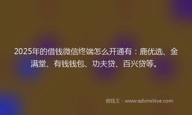 2025年的借钱微信终端怎么开通有：鹿优选、金满堂、有钱钱包、功夫贷、百兴贷等。