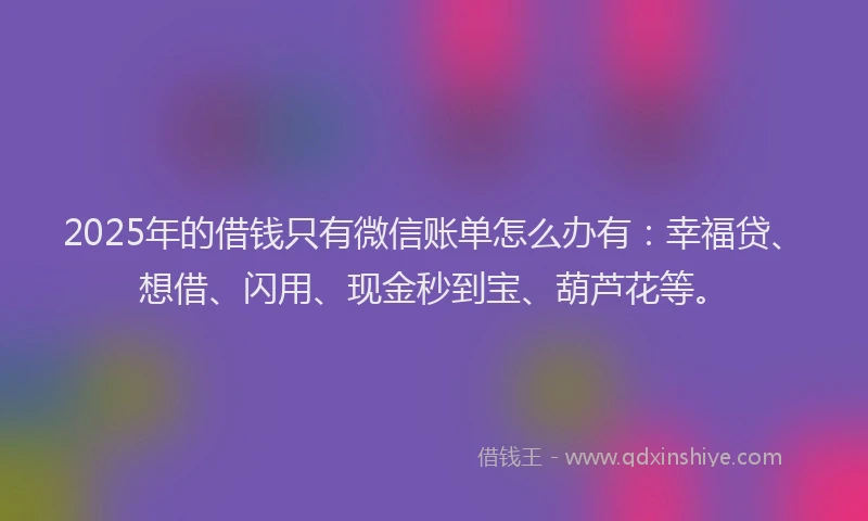 2025年的借钱只有微信账单怎么办有:幸福贷、想借、闪用、现金秒到宝、葫芦花等。