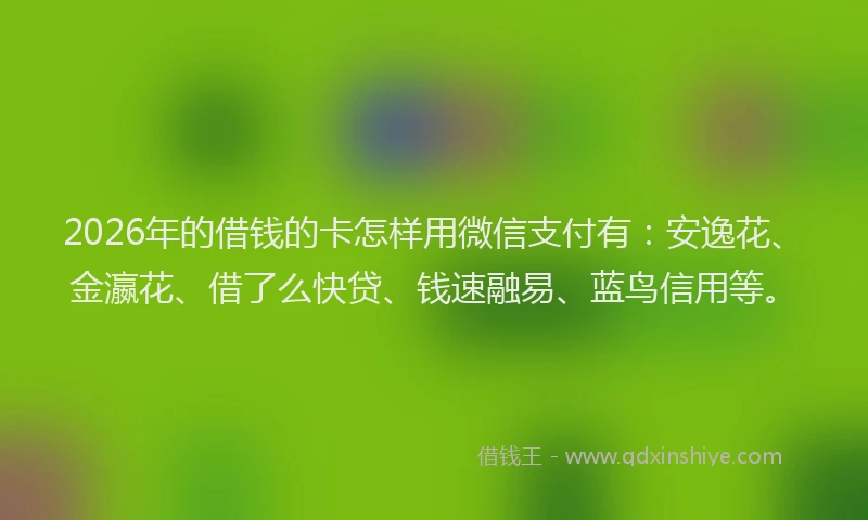 2026年的借钱的卡怎样用微信支付有：安逸花、金瀛花、借了么快贷、钱速融易、蓝鸟信用等。