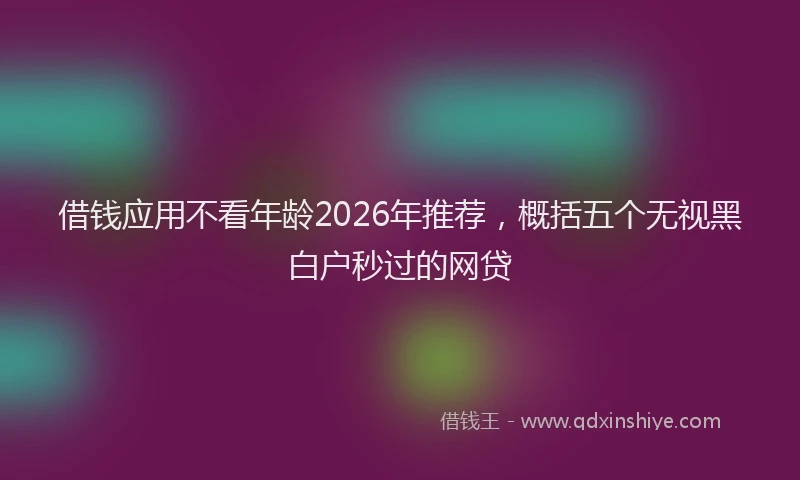 借钱应用不看年龄2026年推荐，概括五个无视黑白户秒过的网贷