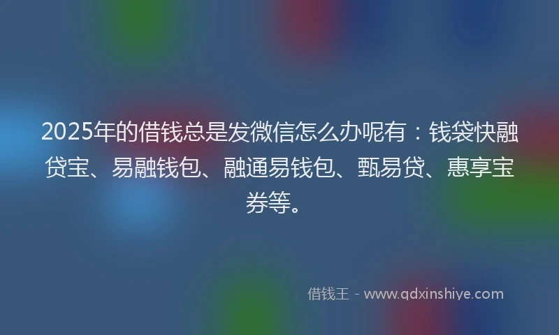 2025年的借钱总是发微信怎么办呢有：钱袋快融贷宝、易融钱包、融通易钱包、甄易贷、惠享宝券等。