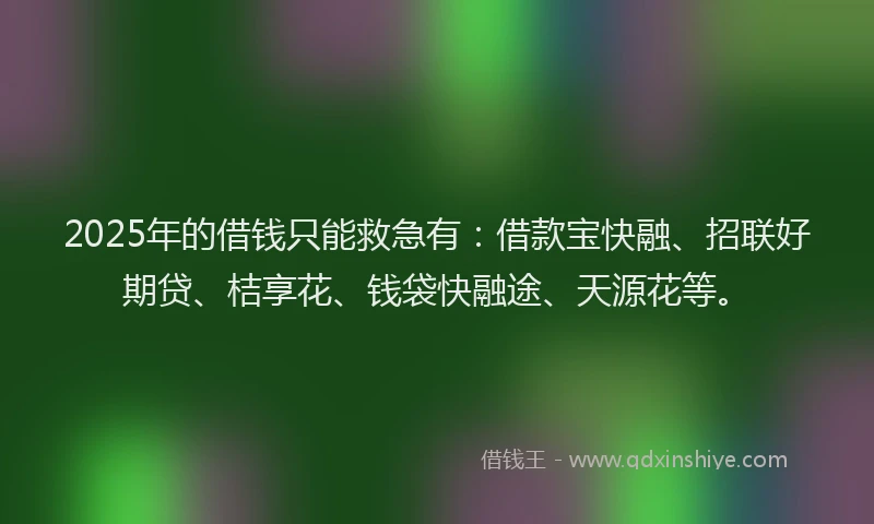 2025年的借钱只能救急有：借款宝快融、招联好期贷、桔享花、钱袋快融途、天源花等。