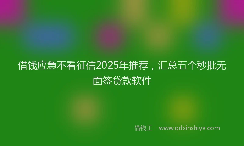 借钱应急不看征信2025年推荐，汇总五个秒批无面签贷款软件
