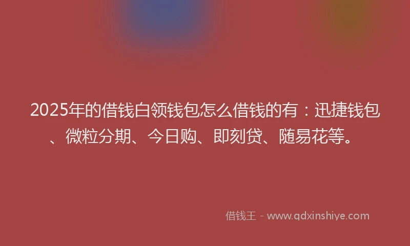 2025年的借钱白领钱包怎么借钱的有：迅捷钱包、微粒分期、今日购、即刻贷、随易花等。