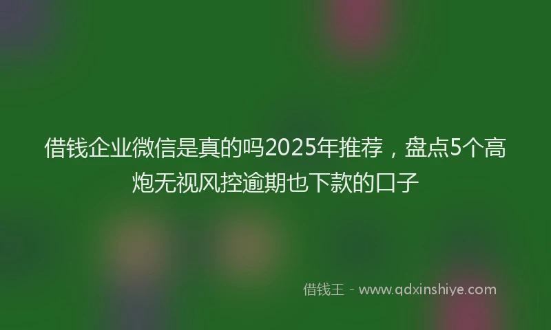 借钱企业微信是真的吗2025年推荐,盘点5个高炮无视风控逾期也下款的口子