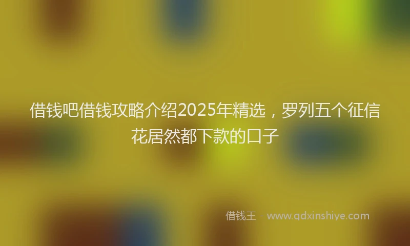 借钱吧借钱攻略介绍2025年精选，罗列五个征信花居然都下款的口子
