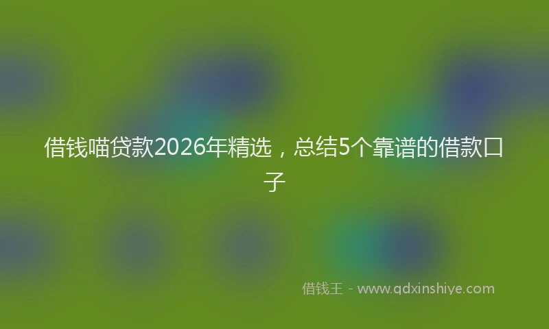 借钱喵贷款2026年精选，总结5个靠谱的借款口子