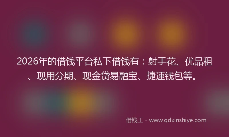 2026年的借钱平台私下借钱有:射手花、优品租、现用分期、现金贷易融宝、捷速钱包等。