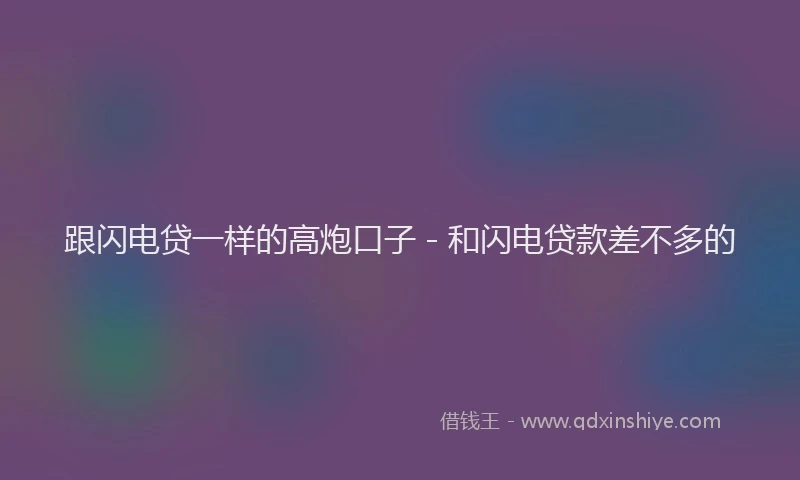 跟闪电贷一样的高炮口子 - 和闪电贷款差不多的