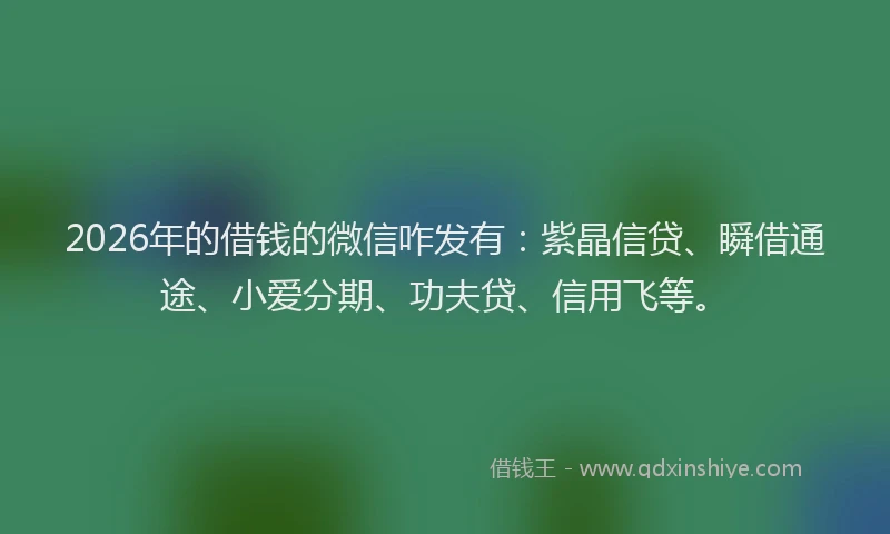 2026年的借钱的微信咋发有：紫晶信贷、瞬借通途、小爱分期、功夫贷、信用飞等。