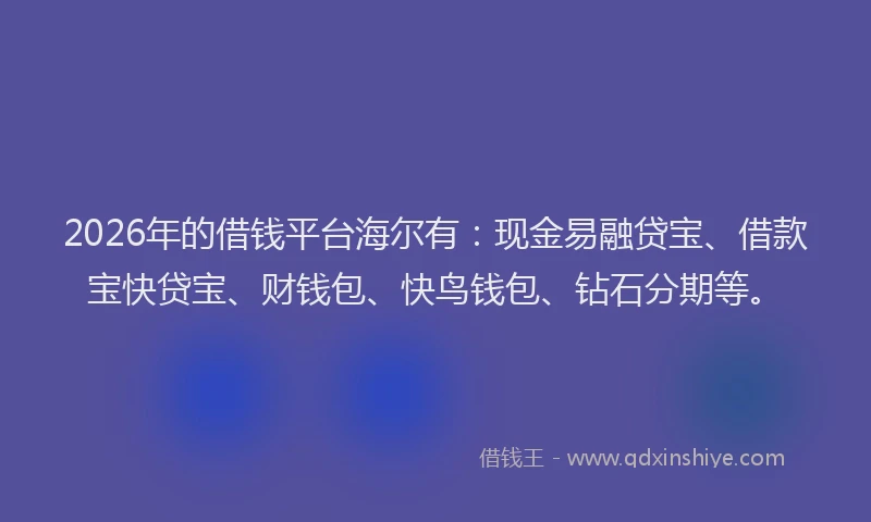 2026年的借钱平台海尔有：现金易融贷宝、借款宝快贷宝、财钱包、快鸟钱包、钻石分期等。
