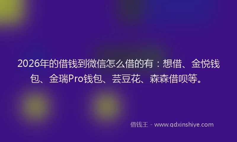 2026年的借钱到微信怎么借的有：想借、金悦钱包、金瑞Pro钱包、芸豆花、森森借呗等。