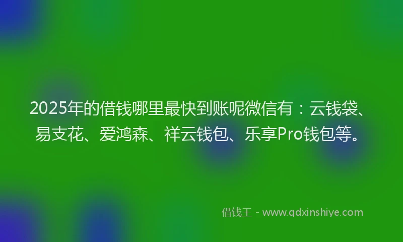 2025年的借钱哪里最快到账呢微信有:云钱袋、易支花、爱鸿森、祥云钱包、乐享Pro钱包等。