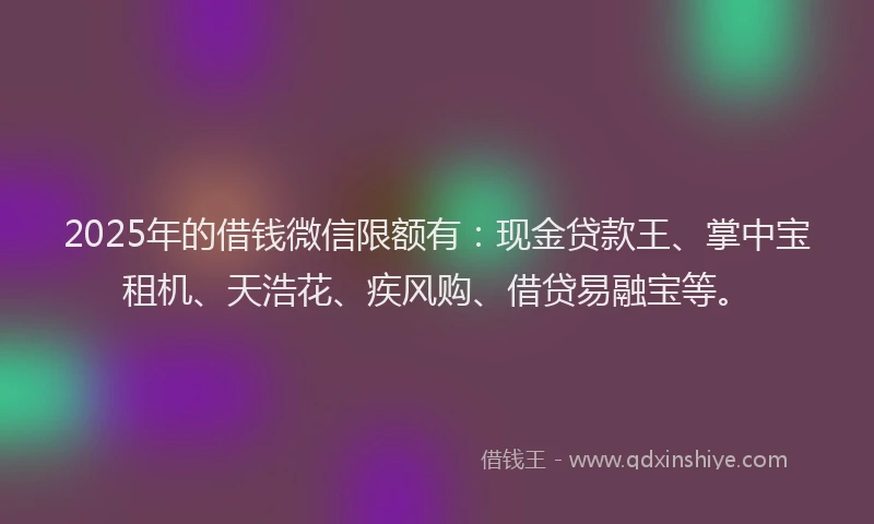 2025年的借钱微信限额有:现金贷款王、掌中宝租机、天浩花、疾风购、借贷易融宝等。