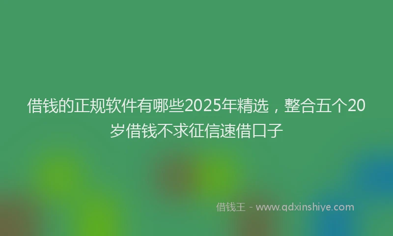 借钱的正规软件有哪些2025年精选，整合五个20岁借钱不求征信速借口子