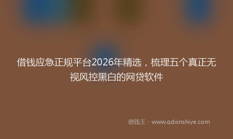 借钱应急正规平台2026年精选，梳理五个真正无视风控黑白的网贷软件