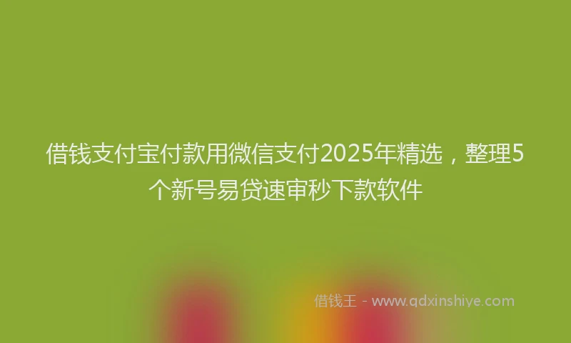 借钱支付宝付款用微信支付2025年精选，整理5个新号易贷速审秒下款软件
