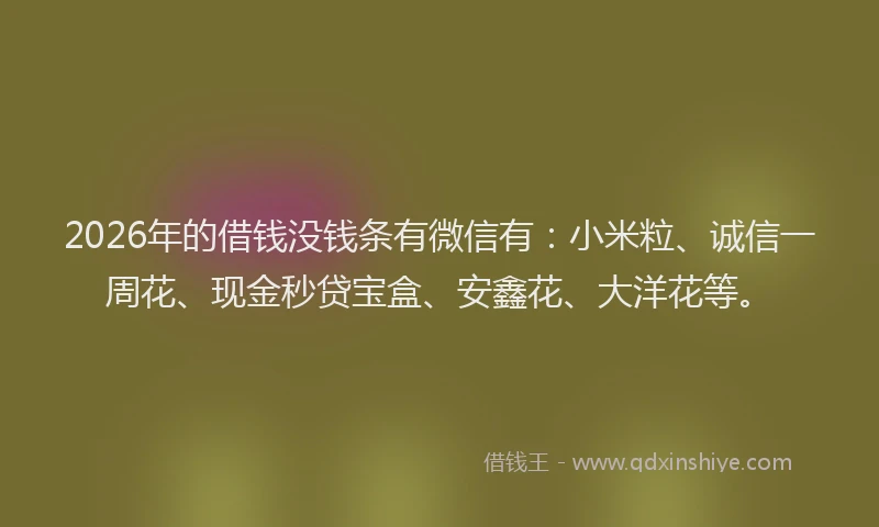 2026年的借钱没钱条有微信有:小米粒、诚信一周花、现金秒贷宝盒、安鑫花、大洋花等。