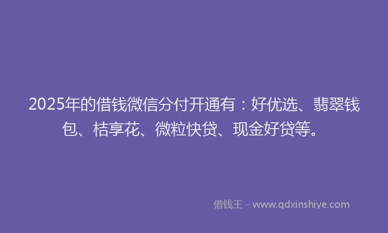 2025年的借钱微信分付开通有：好优选、翡翠钱包、桔享花、微粒快贷、现金好贷等。