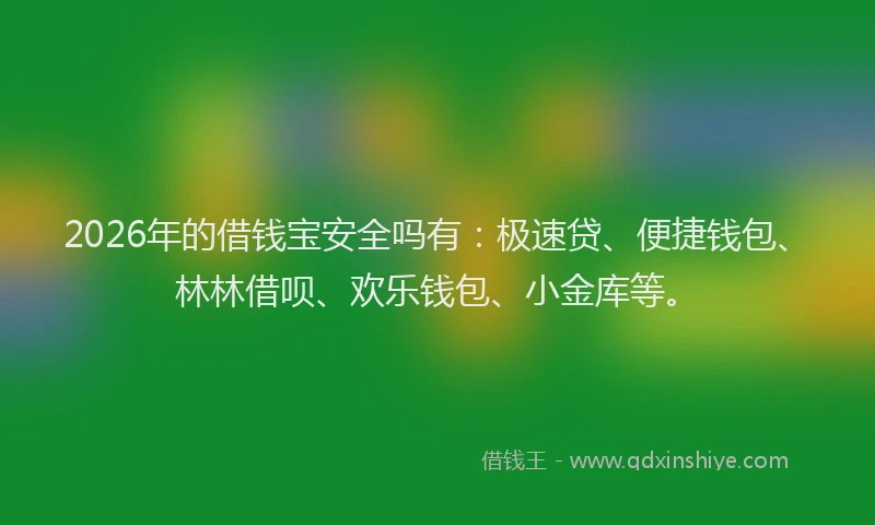 2026年的借钱宝安全吗有：极速贷、便捷钱包、林林借呗、欢乐钱包、小金库等。
