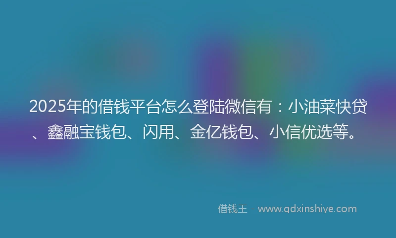 2025年的借钱平台怎么登陆微信有：小油菜快贷、鑫融宝钱包、闪用、金亿钱包、小信优选等。